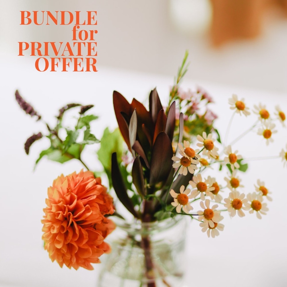 BUNDLE for PRIVATE OFFER